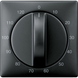 ЦЕНТР. ПЛАТА ТАЙМЕРА, 120 МИН., SYSTEM D