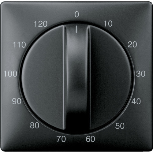 ЦЕНТР. ПЛАТА ТАЙМЕРА, 120 МИН., SYSTEM D