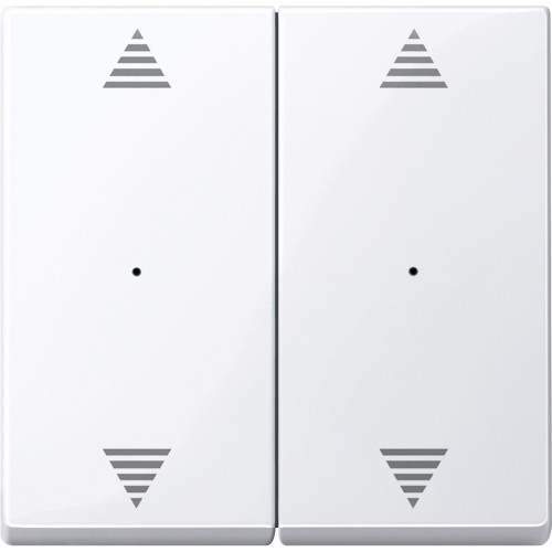 SM,КЛ.ДЛЯ МОД 2КН.ВЫК, ВВ/ВН,1/0, АК.БЕЛ