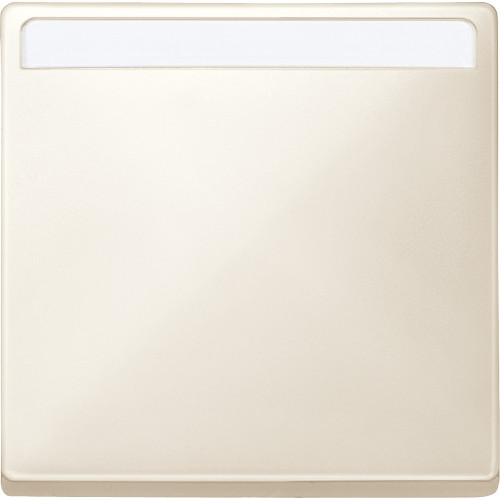 КЛАВ. 1-Я, С ПОЛЕМ ДЛЯ НАДПИСИ, SYSTEM D