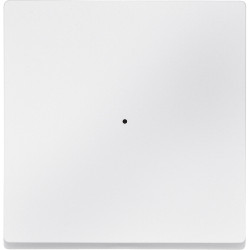 SM, КЛАВИША ДЛЯ МОДУЛЯ 1 КН. ВЫК, П.БЕЛ