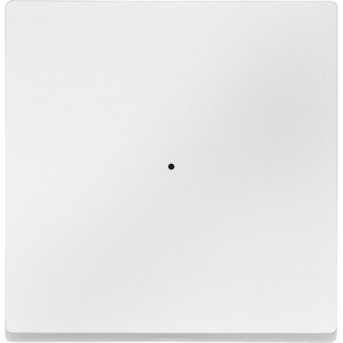 SM, КЛАВИША ДЛЯ МОДУЛЯ 1 КН. ВЫК, П.БЕЛ