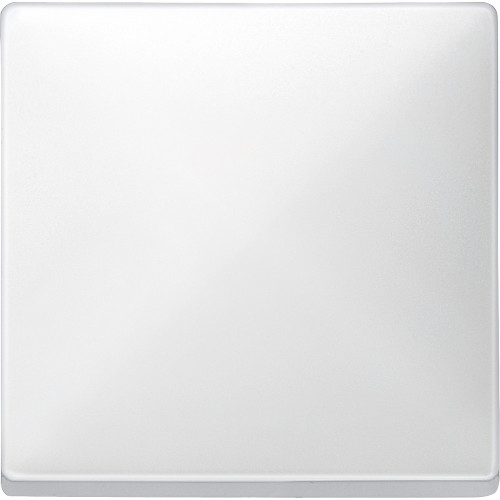 КЛАВИША Х1, БЕЛЫЙ