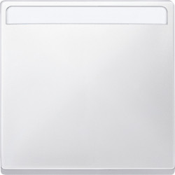 КЛАВ. 1-Я, С ПОЛЕМ ДЛЯ НАДПИСИ, SYSTEM D