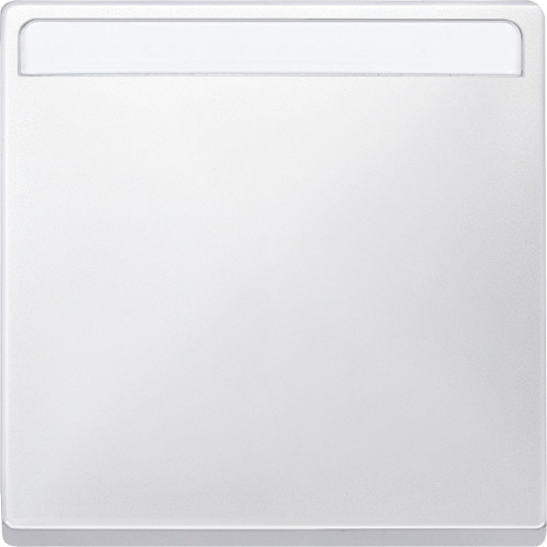 КЛАВ. 1-Я, С ПОЛЕМ ДЛЯ НАДПИСИ, SYSTEM D