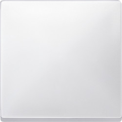 КЛАВИША Х1, БЕЛЫЙ