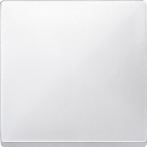 КЛАВИША Х1, БЕЛЫЙ