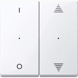 SM,КЛ.ДЛЯ МОД 2КН.ВЫК, ВВ/ВН,1/0,АК.БЕЛ