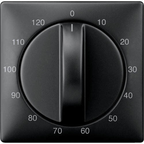 ЦЕНТР. ПЛАТА ТАЙМЕРА, 120 МИН., SYSTEM D