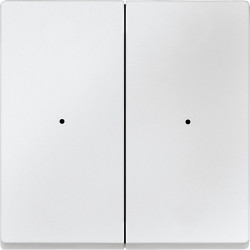 SM, КЛАВИША ДЛЯ МОДУЛЯ 2 КН. ВЫК, П.БЕЛ