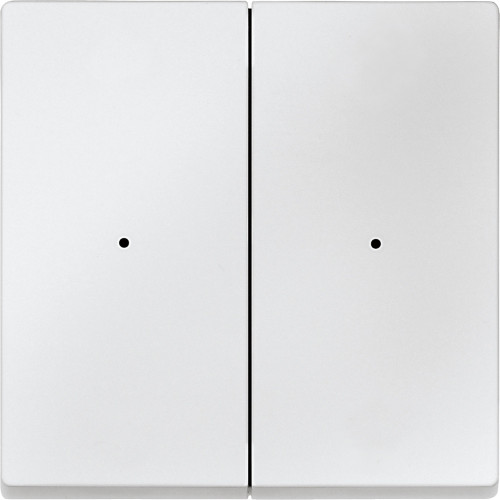 SM, КЛАВИША ДЛЯ МОДУЛЯ 2 КН. ВЫК, П.БЕЛ