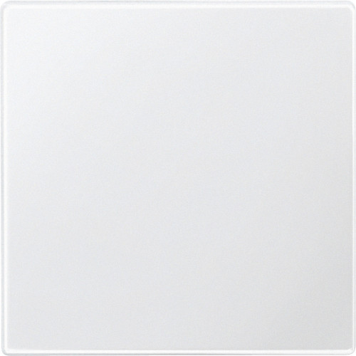 СЕНСОРНАЯ ПОВЕРХНОСТЬ,ПОЛЯРНО-БЕЛЫЙ БЛЕС