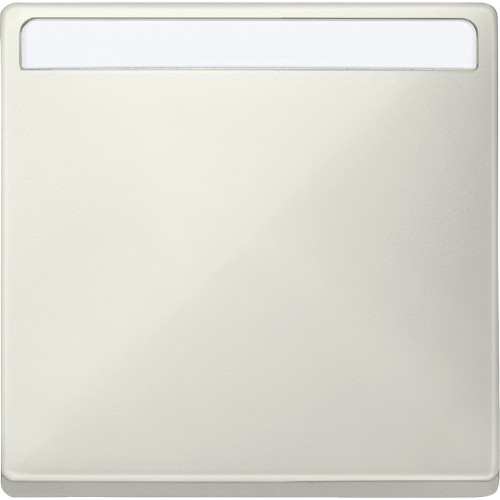 КЛАВ. 1-Я, С ПОЛЕМ ДЛЯ НАДПИСИ, SYSTEM D