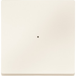 SM, КЛАВИША ДЛЯ МОДУЛЯ 1 КН. ВЫК, БЕЖ.