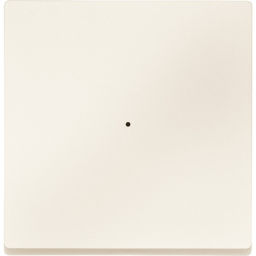 SM, КЛАВИША ДЛЯ МОДУЛЯ 1 КН. ВЫК, БЕЖ.