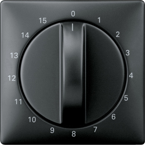 ЦЕНТР. ПЛАТА ТАЙМЕРА, 15 МИН., SYSTEM DE