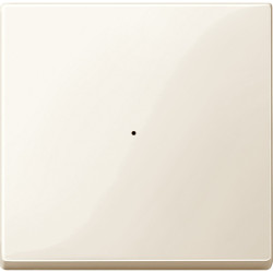 SM, КЛАВИША ДЛЯ МОДУЛЯ 1 КН. ВЫК, БЕЖ.БЛ