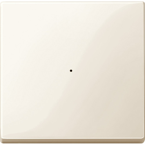 SM, КЛАВИША ДЛЯ МОДУЛЯ 1 КН. ВЫК, БЕЖ.БЛ