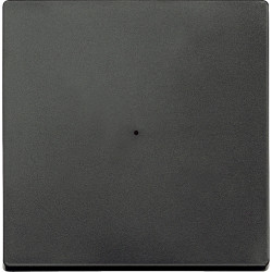 SM, КЛАВИША ДЛЯ МОДУЛЯ 1 КН. ВЫК, АНТРАЦ