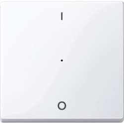 SM,КЛ. ДЛЯ М-ЛЯ 1 КН.ВЫК,РИС.1/0, АК.БЕЛ