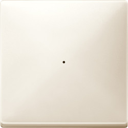 SD, КЛАВИША ДЛЯ МОДУЛЯ 1 КН. ВЫК, БЕЖ