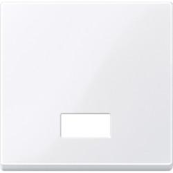 КЛАВ. С ПРЯМОУГОЛЬНЫМ ОКОШКОМ ДЛЯ СИМВОЛ