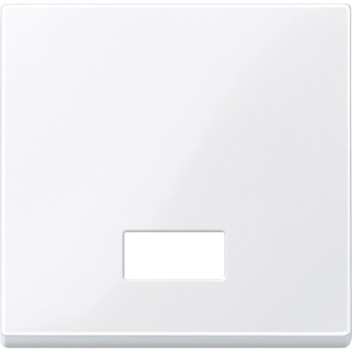 КЛАВ. С ПРЯМОУГОЛЬНЫМ ОКОШКОМ ДЛЯ СИМВОЛ