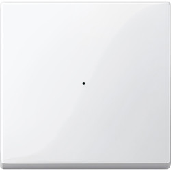 SM, КЛАВИША ДЛЯ МОДУЛЯ 1 КН. ВЫК, П.БЕЛ