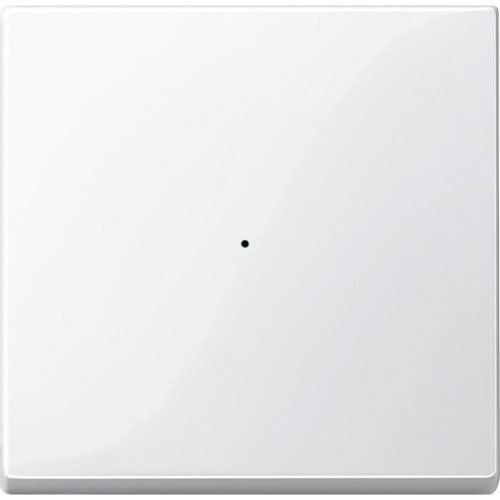 SM, КЛАВИША ДЛЯ МОДУЛЯ 1 КН. ВЫК, П.БЕЛ