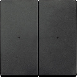 SM, КЛАВИША ДЛЯ МОДУЛЯ 2 КН. ВЫК, АНТРАЦ