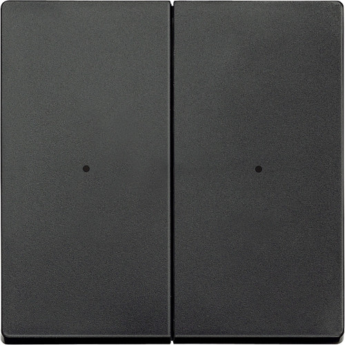 SM, КЛАВИША ДЛЯ МОДУЛЯ 2 КН. ВЫК, АНТРАЦ