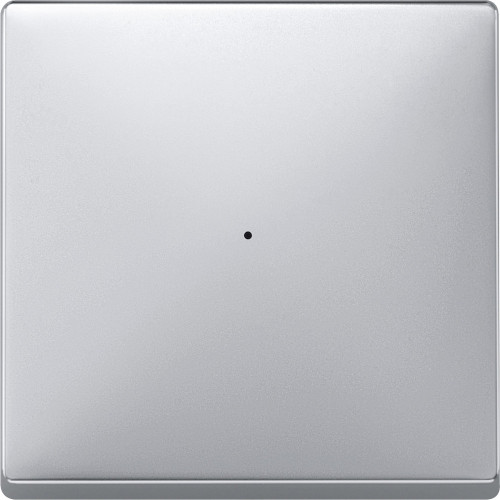 SD, КЛАВИША ДЛЯ МОДУЛЯ 1 КН. ВЫК, АЛЮМ