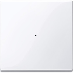 SM, КЛАВИША ДЛЯ МОДУЛЯ 1 КН. ВЫК, АК.БЕЛ