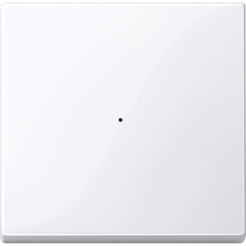 SM, КЛАВИША ДЛЯ МОДУЛЯ 1 КН. ВЫК, АК.БЕЛ