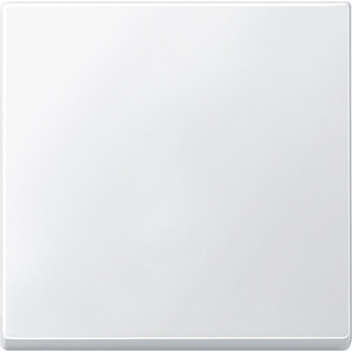 КЛАВИША X1, БЕЛЫЙ